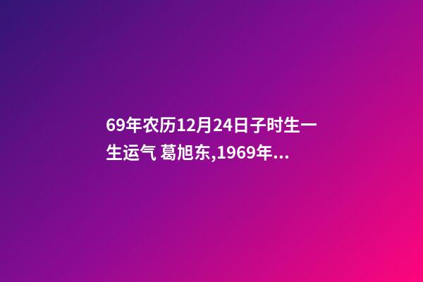 69年农历12月24日子时生一生运气 葛旭东,1969年12月24日子时出生帮忙算一下运势-第1张-观点-玄机派